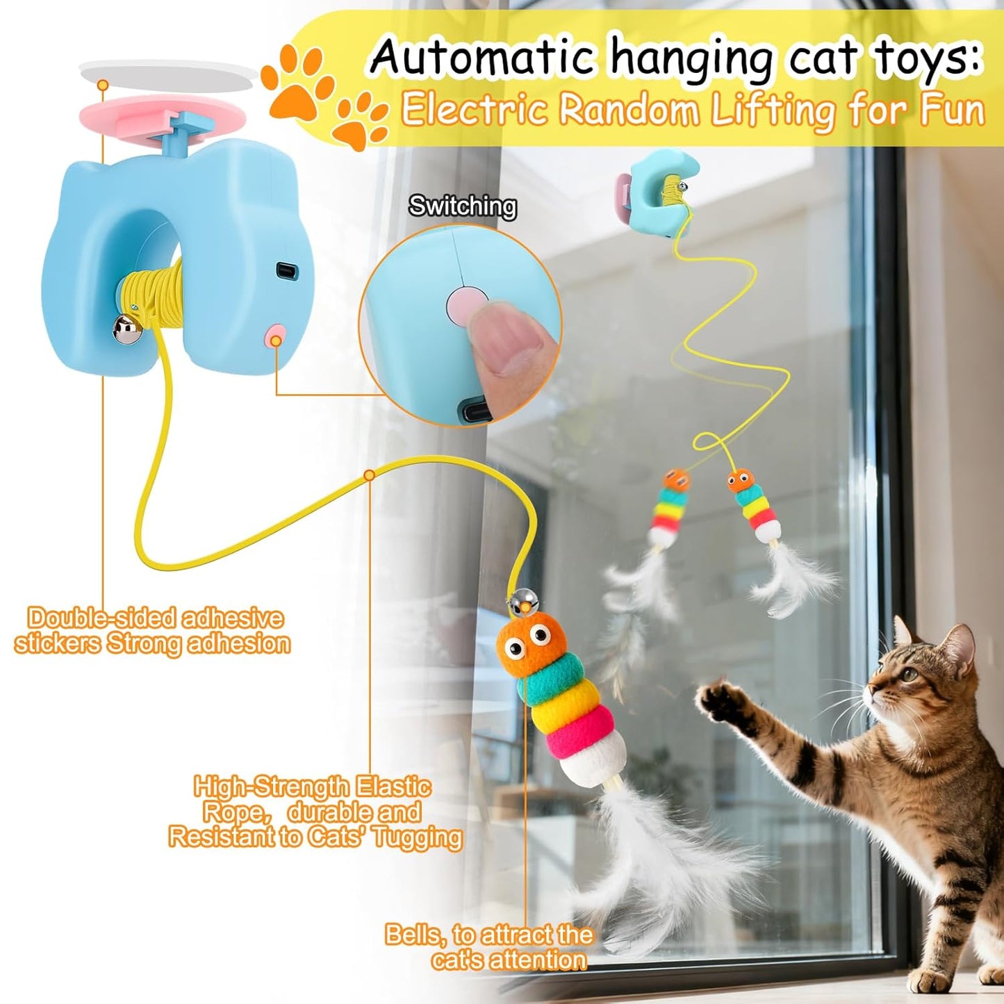 BusyPaws™ Motion Teaser