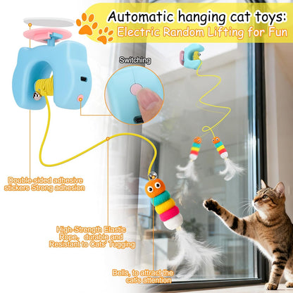 BusyPaws™ Motion Teaser