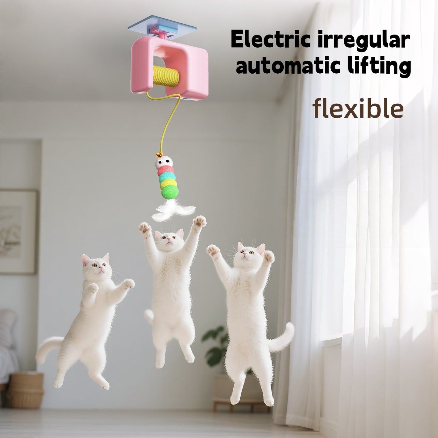 BusyPaws™ Motion Teaser