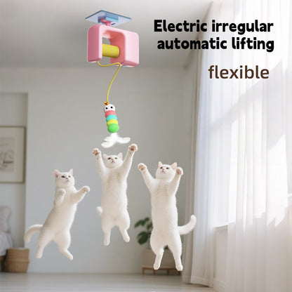 BusyPaws™ Motion Teaser