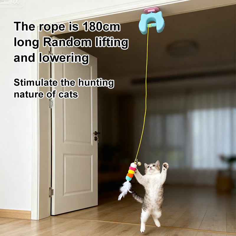 BusyPaws™ Motion Teaser