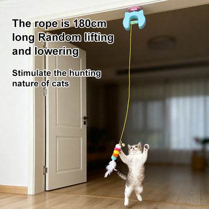 BusyPaws™ Motion Teaser