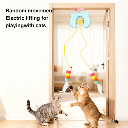 BusyPaws™ Motion Teaser